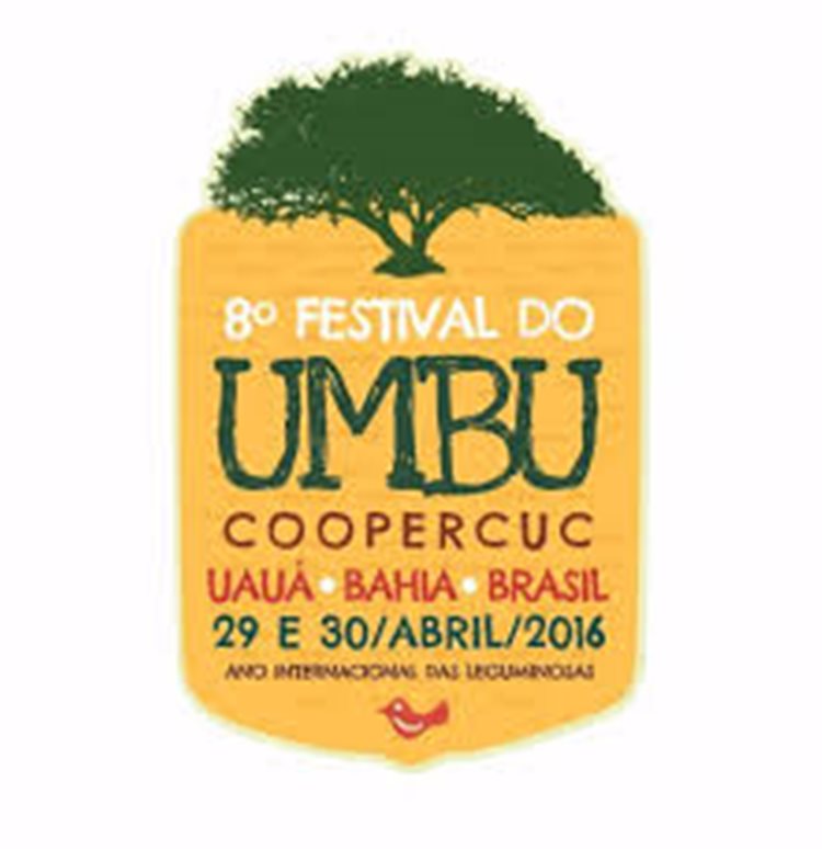 festival do umbu