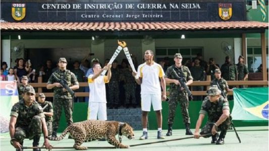 A onça Simba também participou da cerimônia (Foto: Exército Brasileiro)