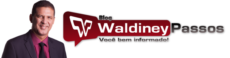 logo-waldiney