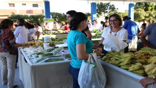 Resultado de imagem para Mercado Público de Orgânicos de petrolina